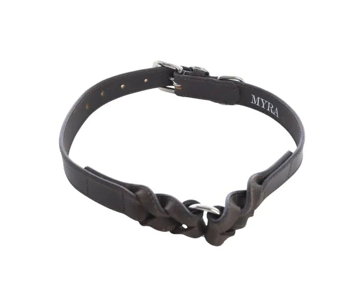 Topside Dog Collar in Ebony