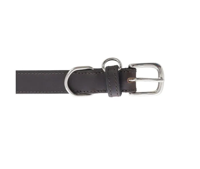 Topside Dog Collar in Ebony