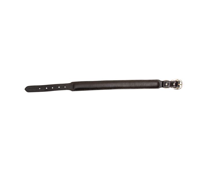 Hotshots Hand-Tooled Leather Dog Collar