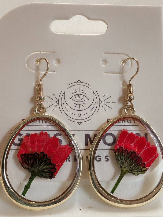 Teardrop Dried Flower Earrings
