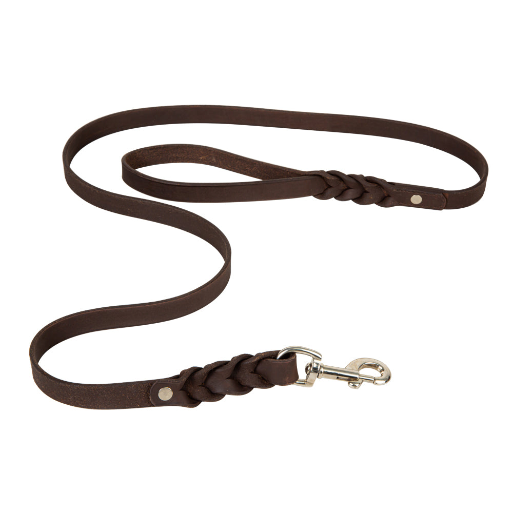 Adventurer Leather Dog Leash