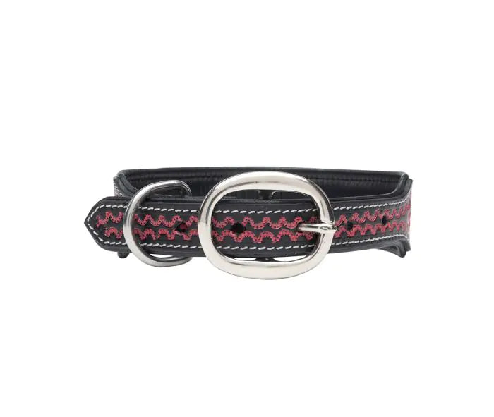 Lucky Dog Hand-Tooled Dog Collar