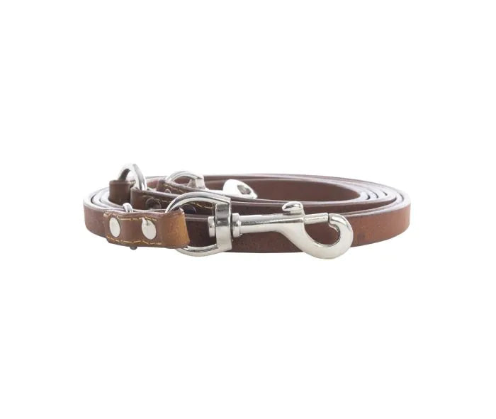 Viaje Dog Leash in Caramel