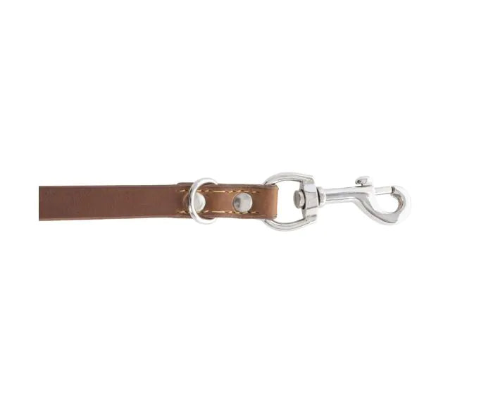 Viaje Dog Leash in Caramel