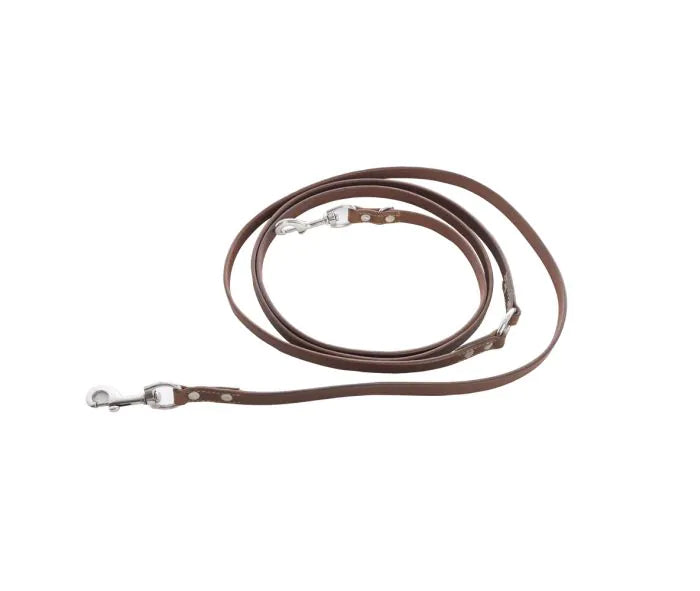 Viaje Dog Leash in Caramel