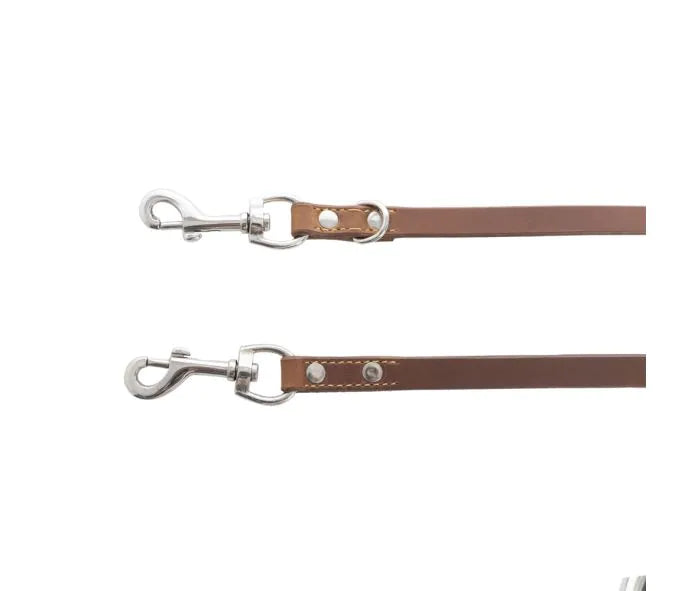 Viaje Dog Leash in Caramel