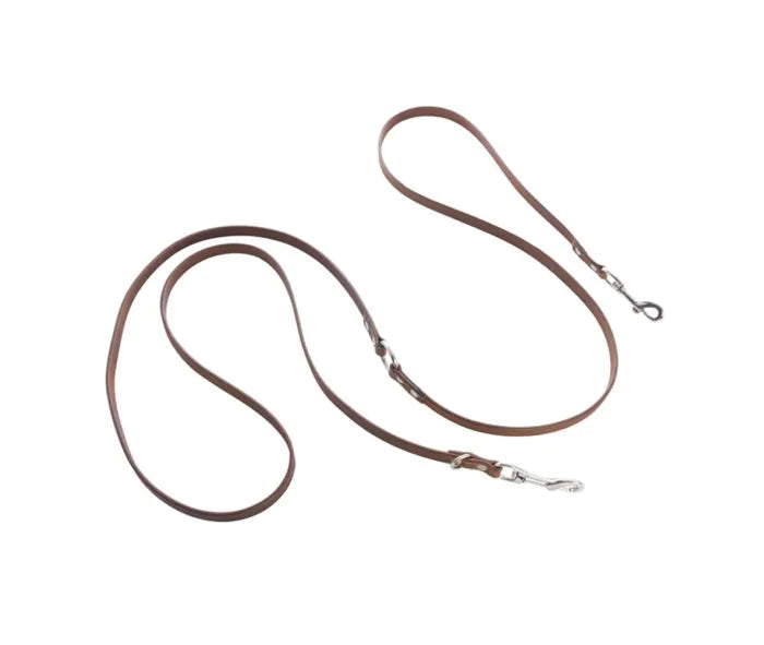 Viaje Dog Leash in Caramel