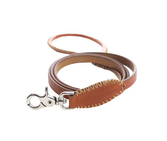 Exploradora Dog Leash in Caramel