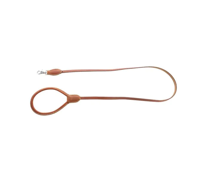 Exploradora Dog Leash in Caramel