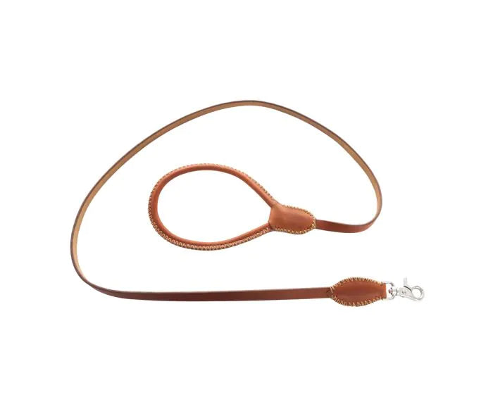 Exploradora Dog Leash in Caramel