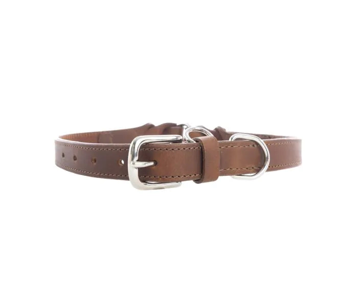 Topside Dog Collar in Chocolate