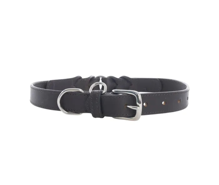 Topside Dog Collar in Ebony